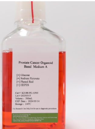 Prostate Cancer Organoid Kit