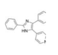 Organoid  SB202190