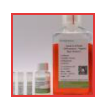 Human Liver Ductal Organoid Kit (Differentiation)