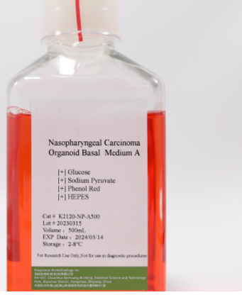Nasopharyngeal Carcinoma Organoid Kit