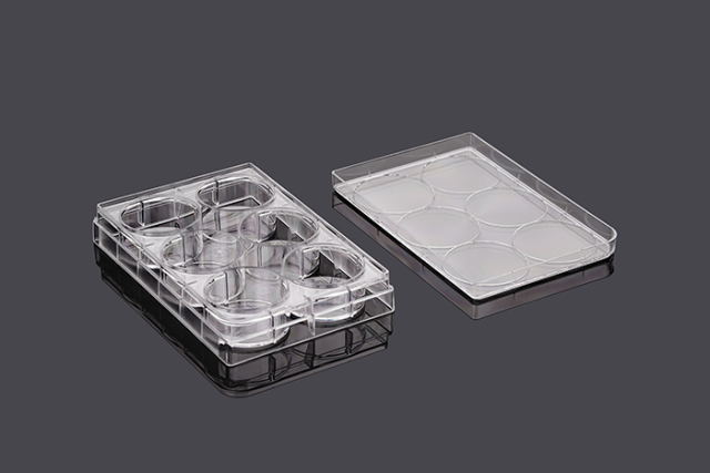 Triangle Shaker