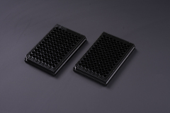 96 Microporous Plate
