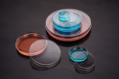 Cell Culture Dish