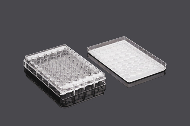 Tissue Culture Plate for Wells 6, 12, 24, 48, and 96