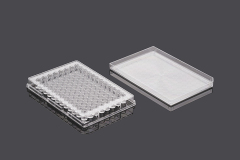 Tissue Culture Plate for Wells 6, 12, 24, 48, and 96