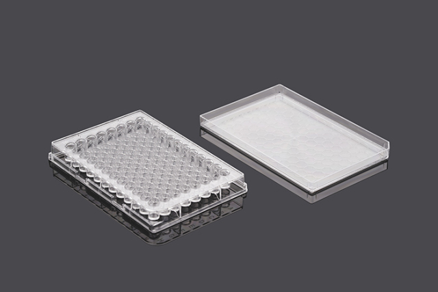 Tissue Culture Plate for Wells 6, 12, 24, 48, and 96