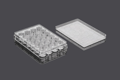 Tissue Culture Plate for Wells 6, 12, 24, 48, and 96