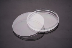 Cell Culture Bottle