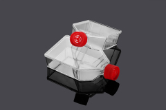 Cell Culture Bottle