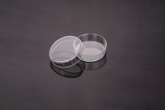 Cell Culture Bottle