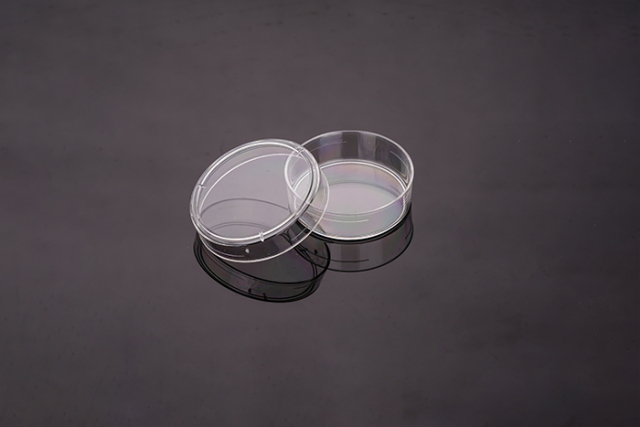 Cell Culture Bottle