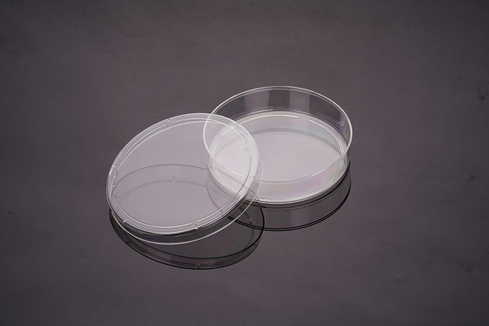 Cell Culture Dish