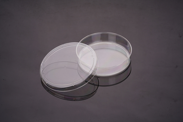 Cell Culture Dish