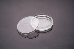 Cell Culture Bottle