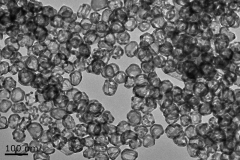 Gold Nanocage