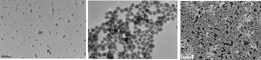 Cell sorting magnetic beads