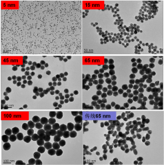 Cell sorting magnetic beads