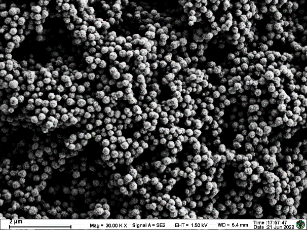 Molecular diagnostic functional magnetic beads