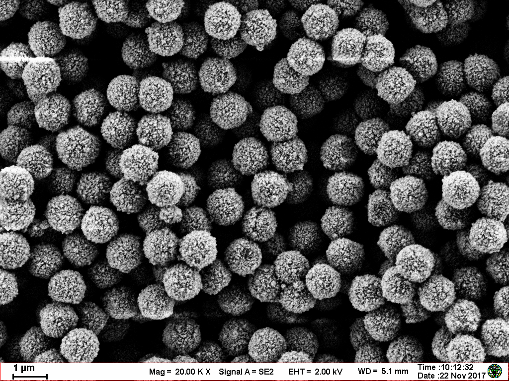 Chemiluminescent Magnetic Beads