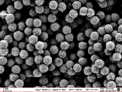 Chemiluminescent Magnetic Beads