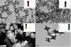 Cell sorting magnetic beads