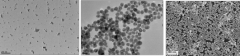 Cell sorting magnetic beads