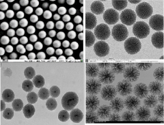 Cell sorting magnetic beads