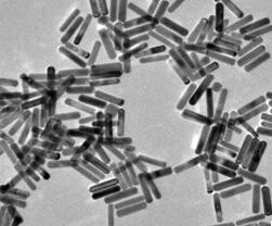 Gold nanorod
