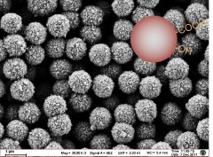 Molecular diagnostic functional magnetic beads