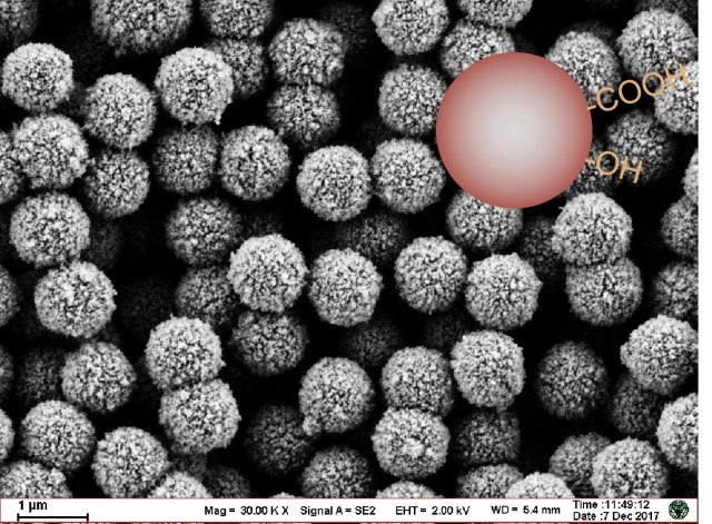 Molecular diagnostic functional magnetic beads