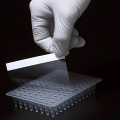96 Well Plate Pealing Film
