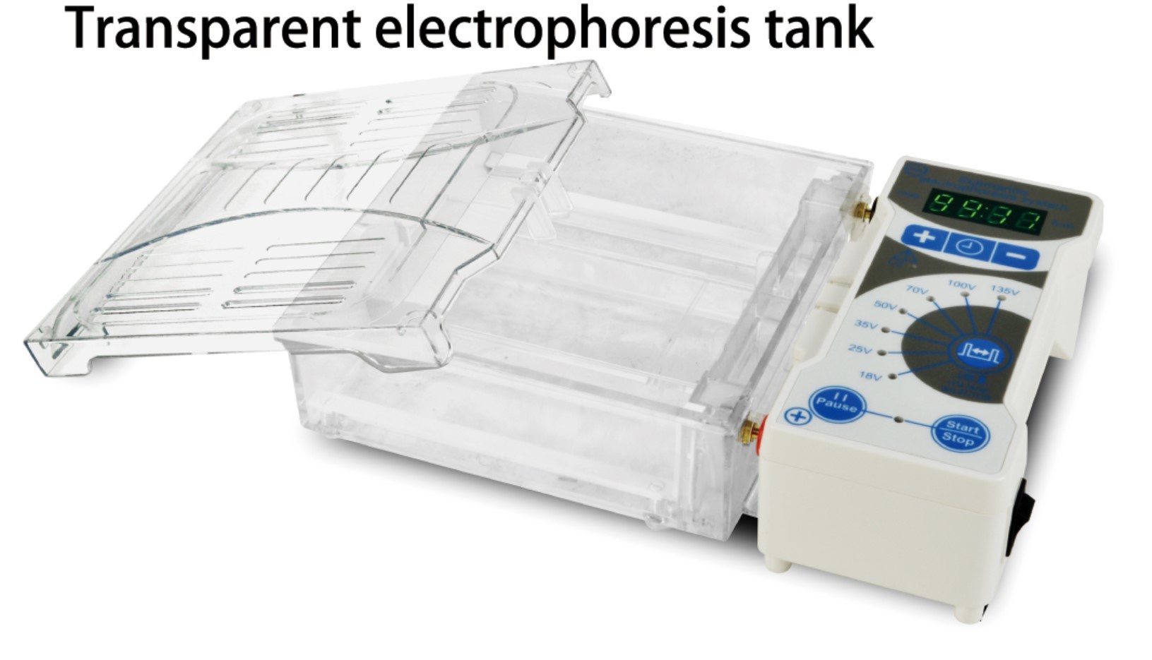 Hot sell electrophoresis apparatus