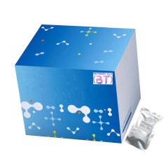 Human Papilloma Virus(HPV) Genotyping for 15 types PCR detection kit（Lyophilized）