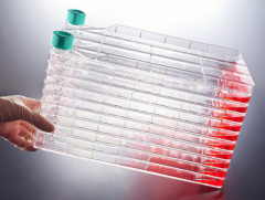 Multi Layer Cell Culture Bottle