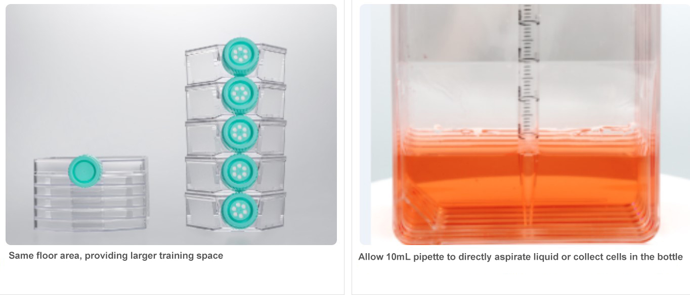 Multi Layer Cell Culture Bottle