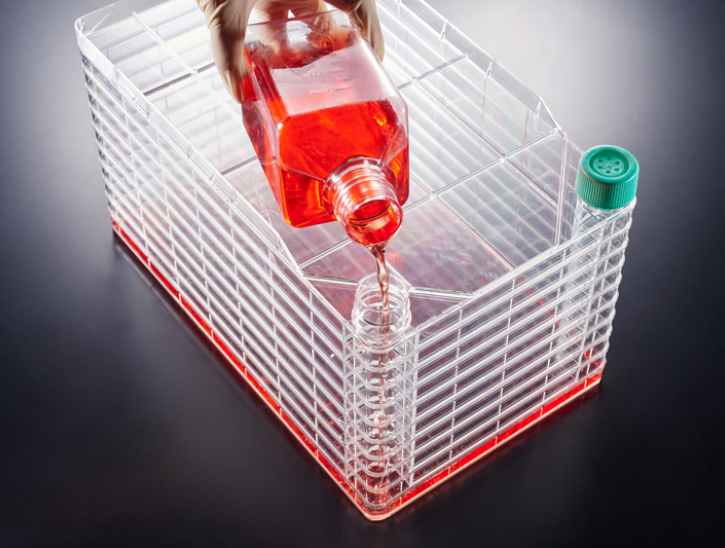 Cell Factory (Culture Bottle)