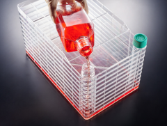 Cell Factory (Culture Bottle)
