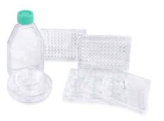 3D Sparero Ultra Low Adsorption Surface Cell Culture Plate/Dish