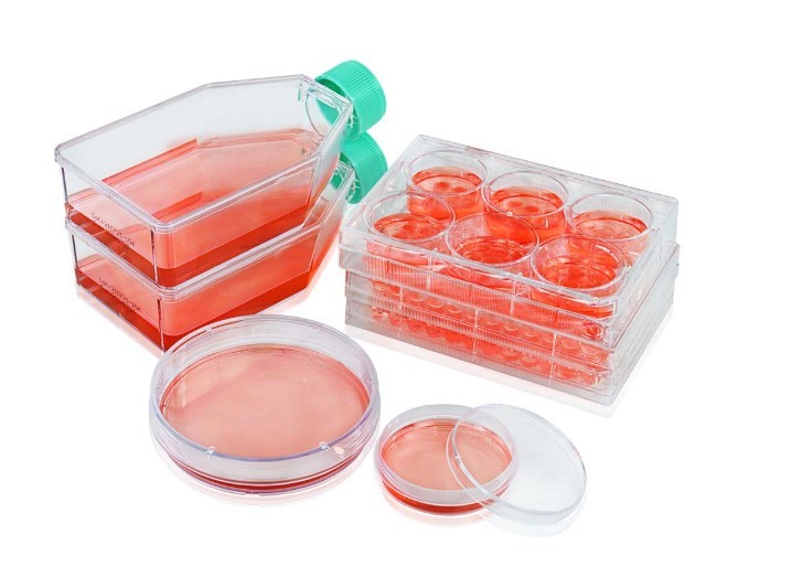 3D Sparero Ultra Low Adsorption Surface Cell Culture Plate/Dish