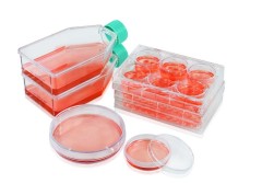 3D Sparero Ultra Low Adsorption Surface Cell Culture Plate/Dish