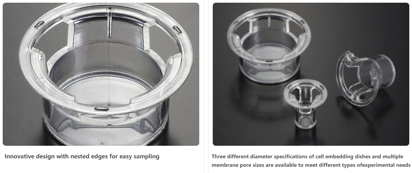 Cell Embedding Dish