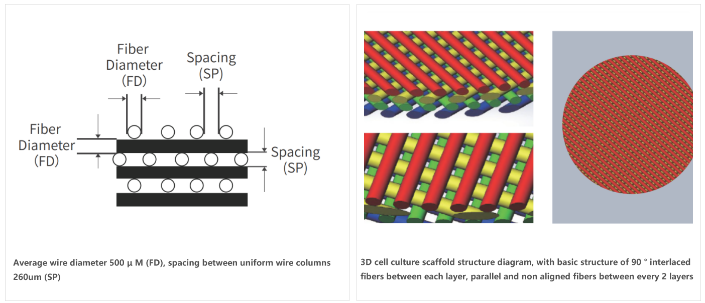 3D Cell Culture Scaffold