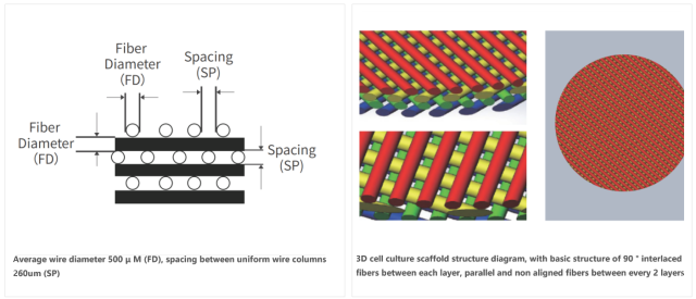 3D Cell Culture Scaffold