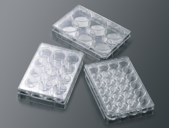 3D Cell Culture Scaffold
