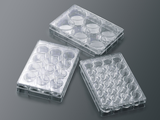 3D Cell Culture Scaffold