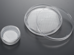 3D Cell Culture Scaffold