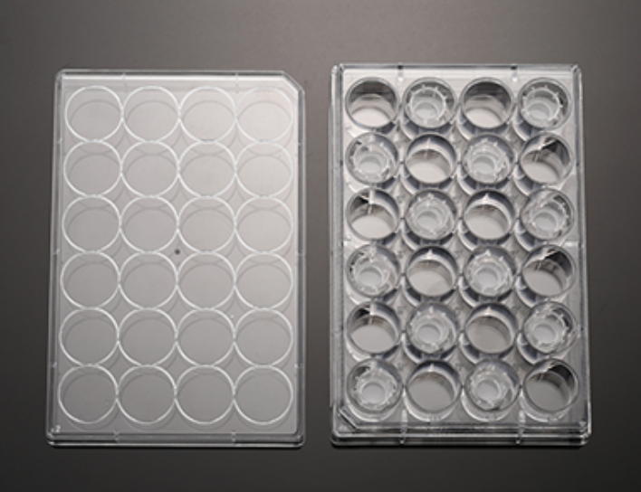 PC Cembrane Insertion Culture Dish