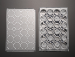 PC Cembrane Insertion Culture Dish