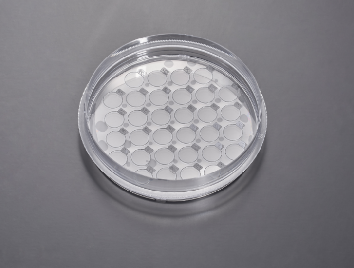 Cell Climbing Culture Dish