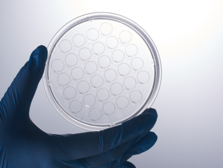 Cell Climbing Culture Dish